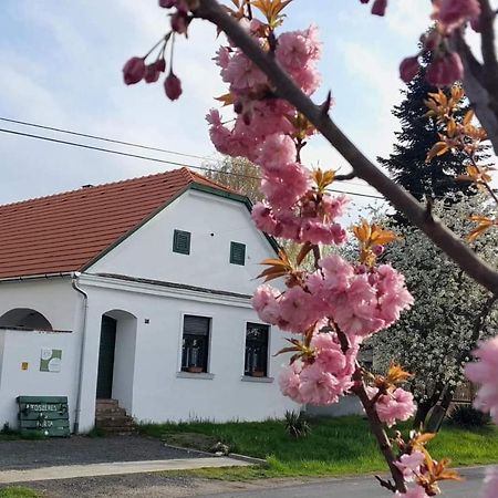 Fuszeres Porta Villa Mihalyfa Luaran gambar