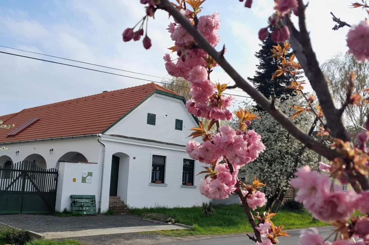 Fuszeres Porta Villa Mihalyfa Luaran gambar